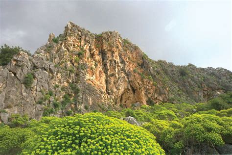 Mt. Carmel .